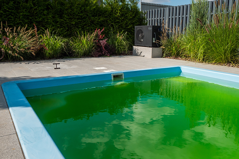Eau verte dans une piscine en Gironde après forte chaleur